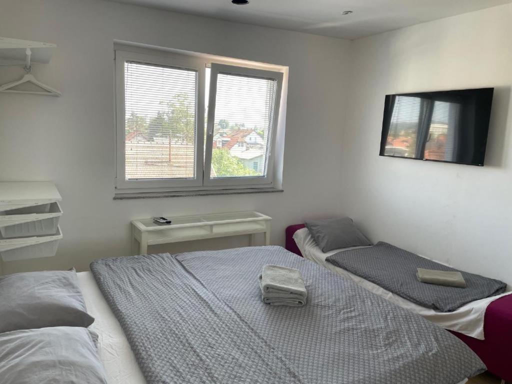 R41 - Tivoli Groundfloor Apartment Любляна Екстер'єр фото